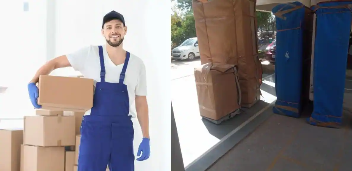 Packers and Movers