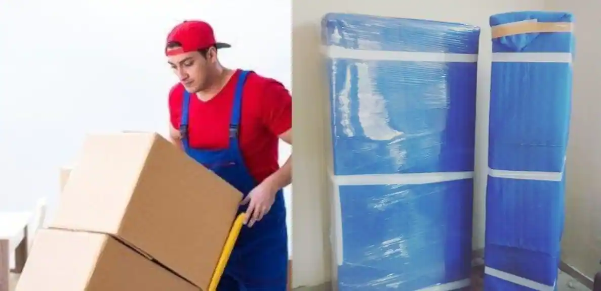 Packers and Movers